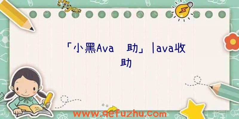 「小黑Ava辅助」|ava收费辅助